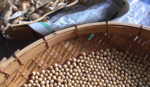 小寒には○○がおすすめ！